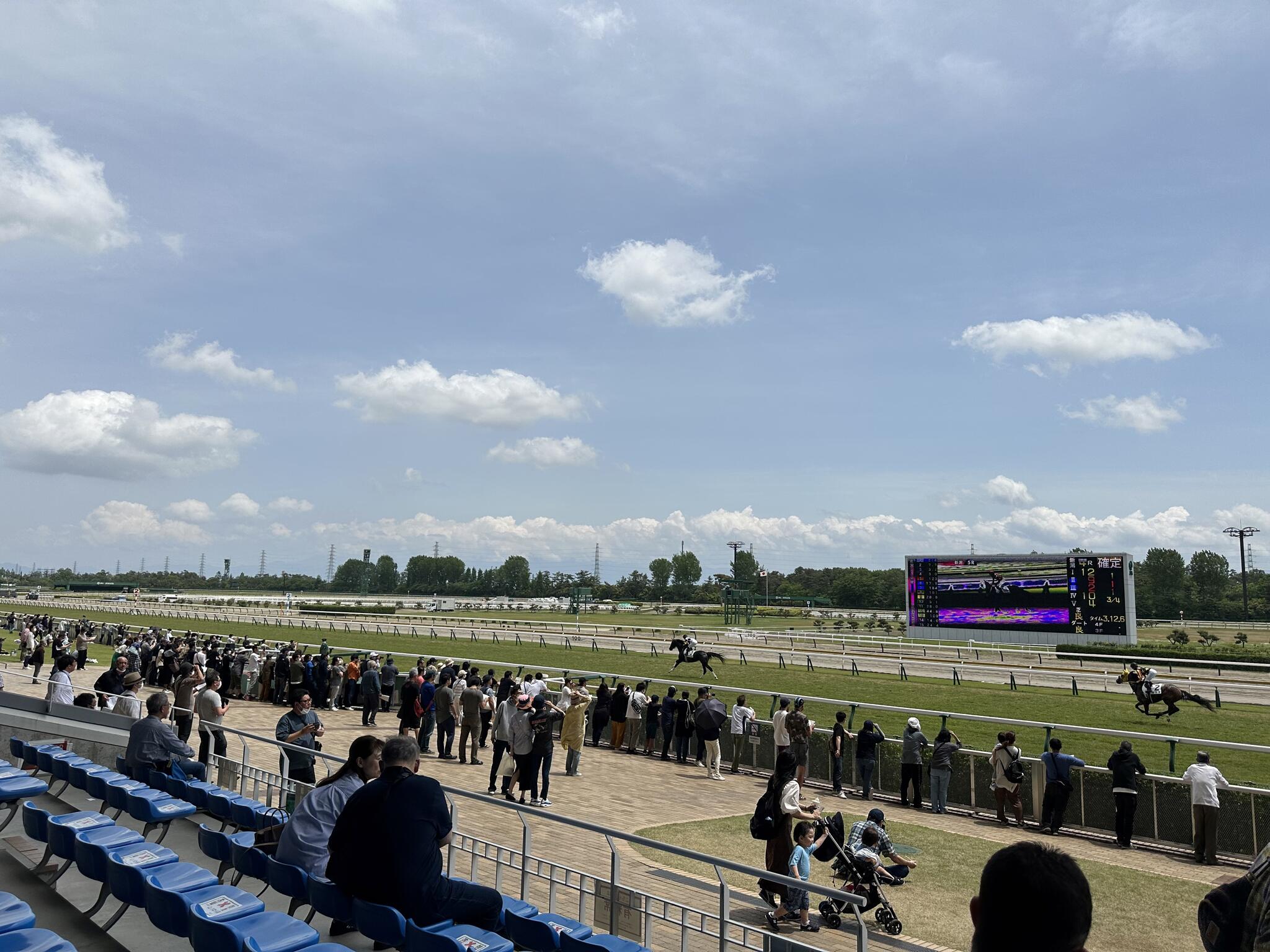 JRA 新潟競馬場 新潟市北区笹山/競馬場 Yahoo!マップ