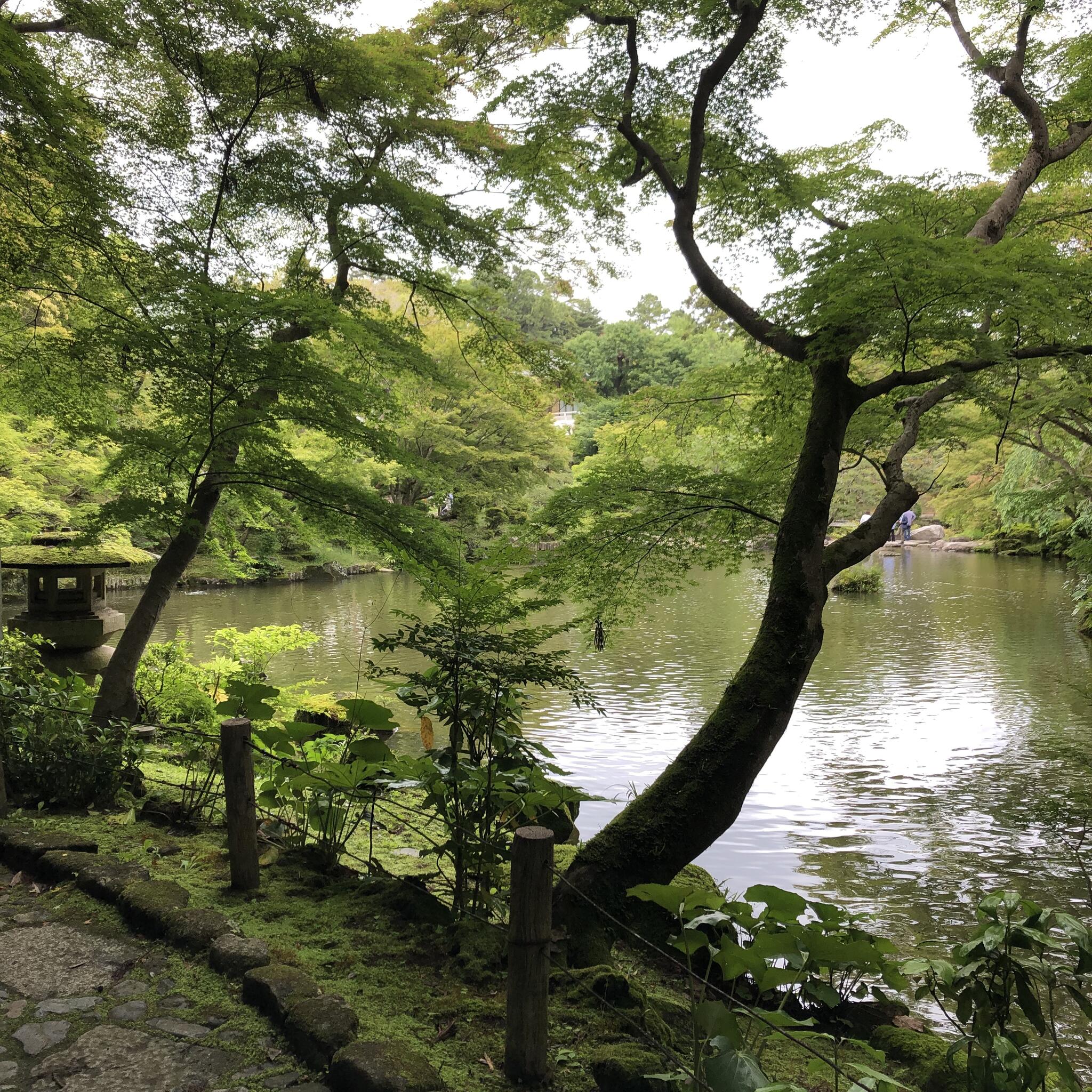 成田山公園の代表写真6