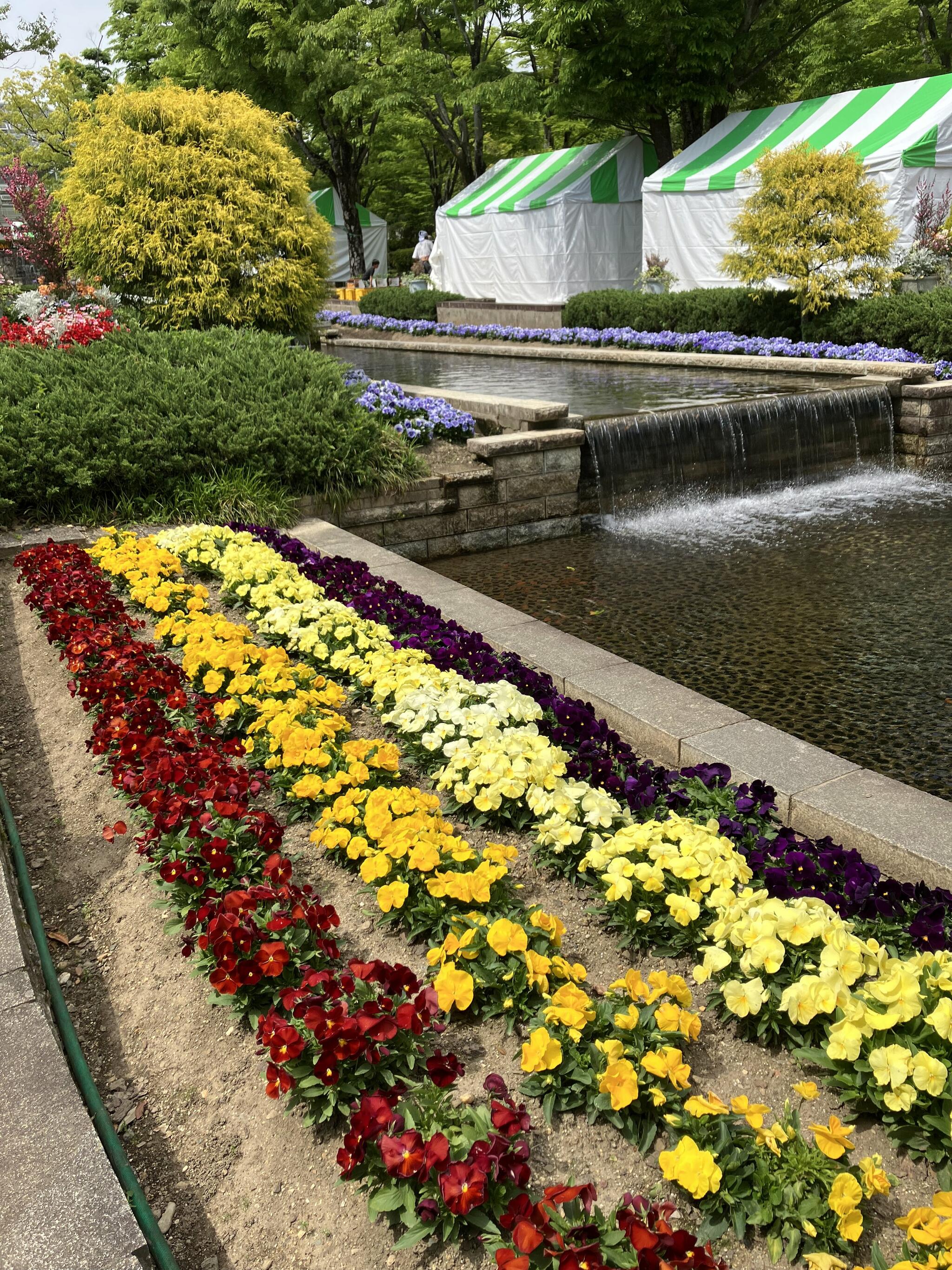 春日井市都市緑化植物園の代表写真6