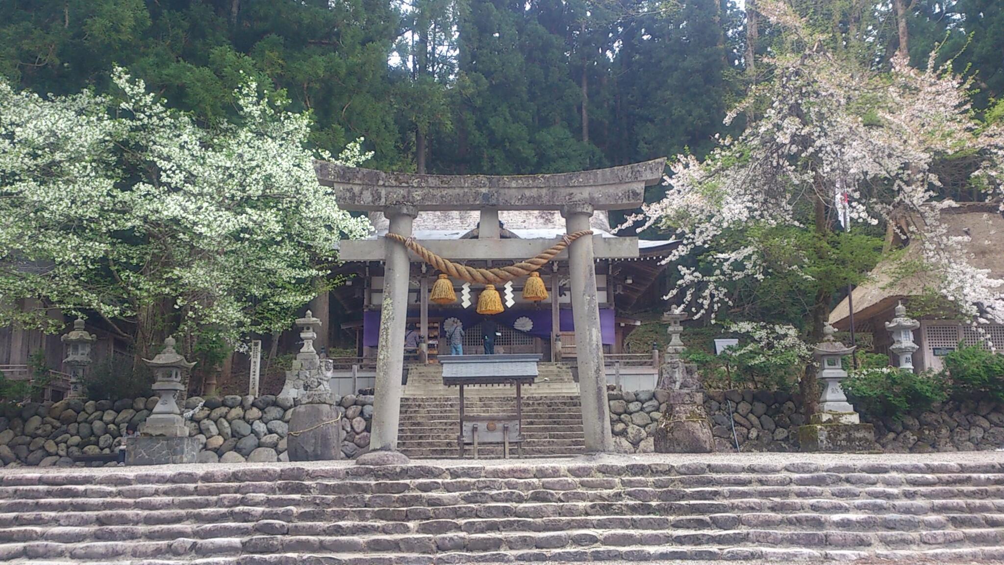 白川八幡神社の代表写真9