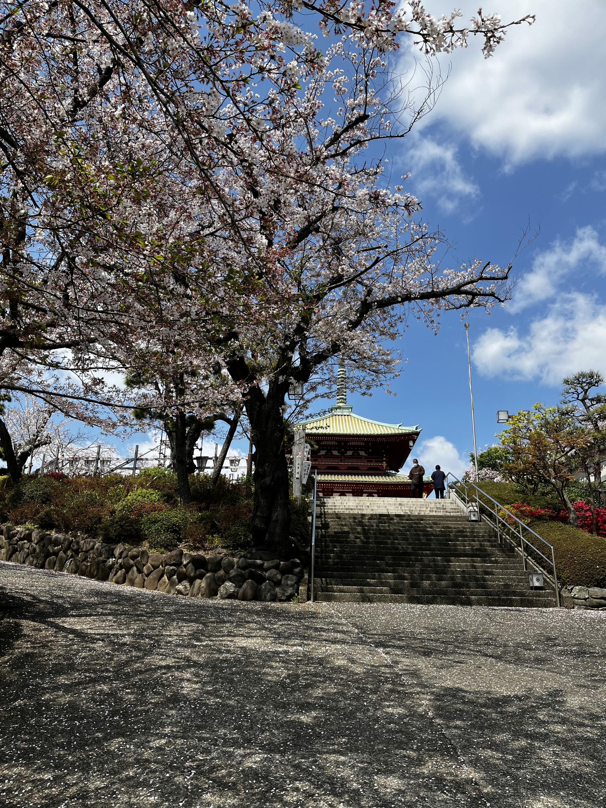 孝道山教職舎の代表写真5