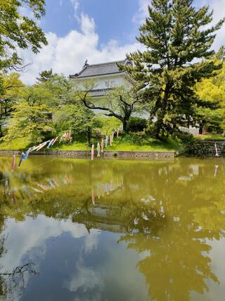 亀城公園のクチコミ写真4