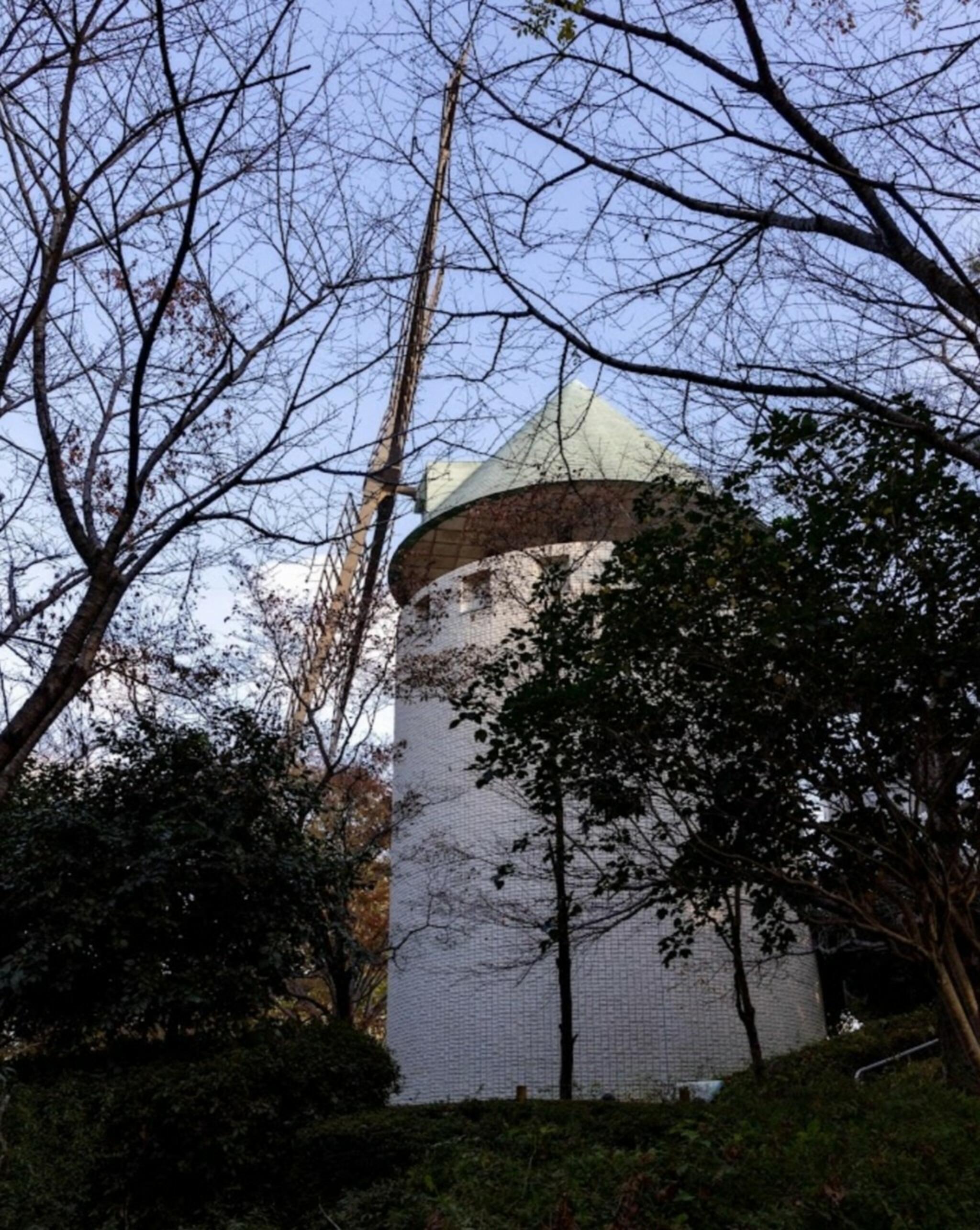 松伏総合公園の代表写真4