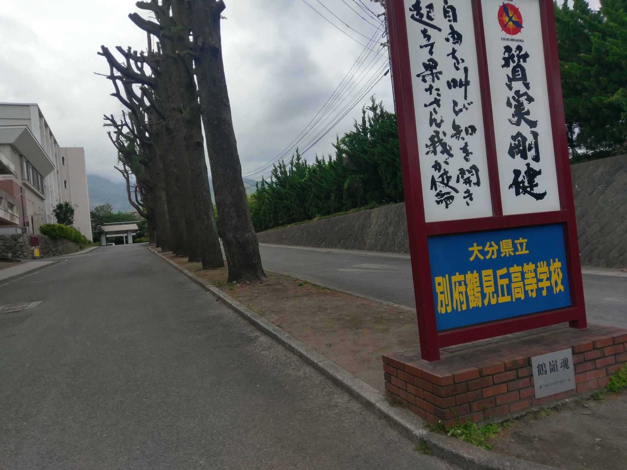 大分県立別府鶴見丘高等学校の代表写真4