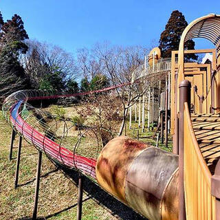 昭和の森の写真2