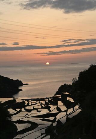 浜野浦の棚田展望台のクチコミ写真1