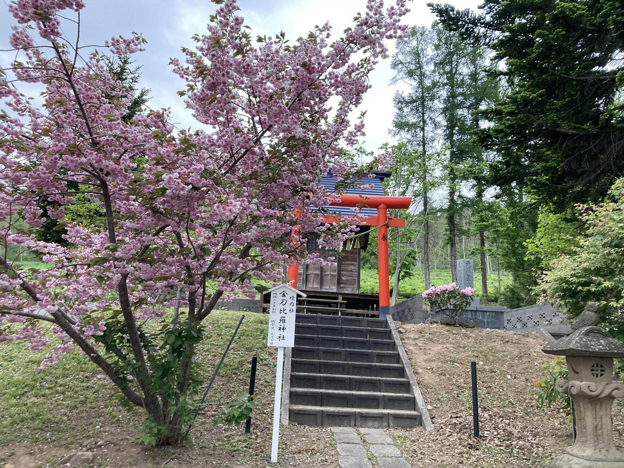 仁木神社 - 余市郡仁木町南町神社 | Yahoo!マップ