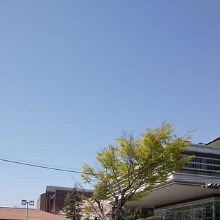 同志社大学 京田辺キャンパスの写真4
