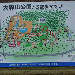 秋田市大森山動物園の写真23