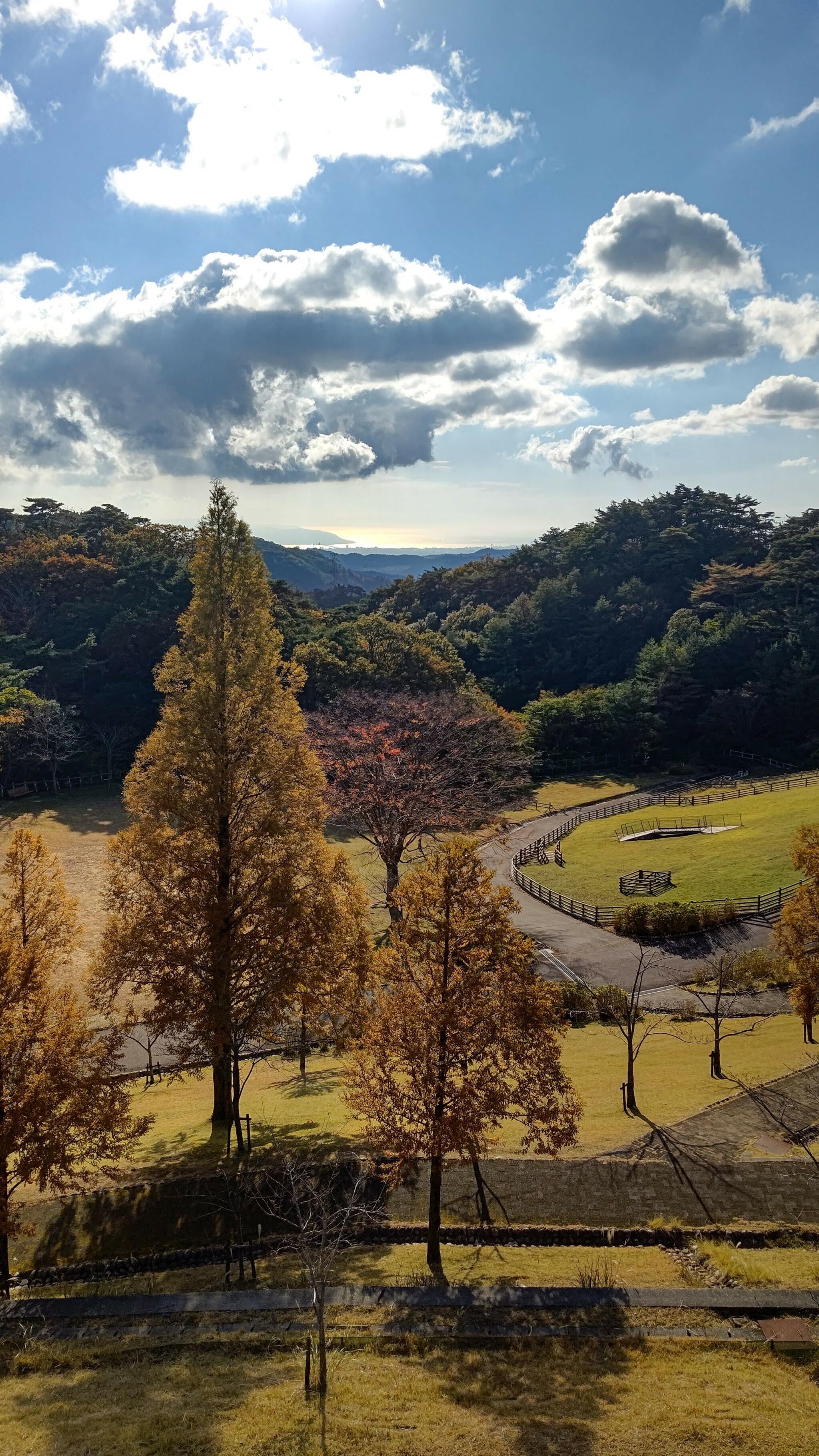 神戸市立六甲山牧場の代表写真5