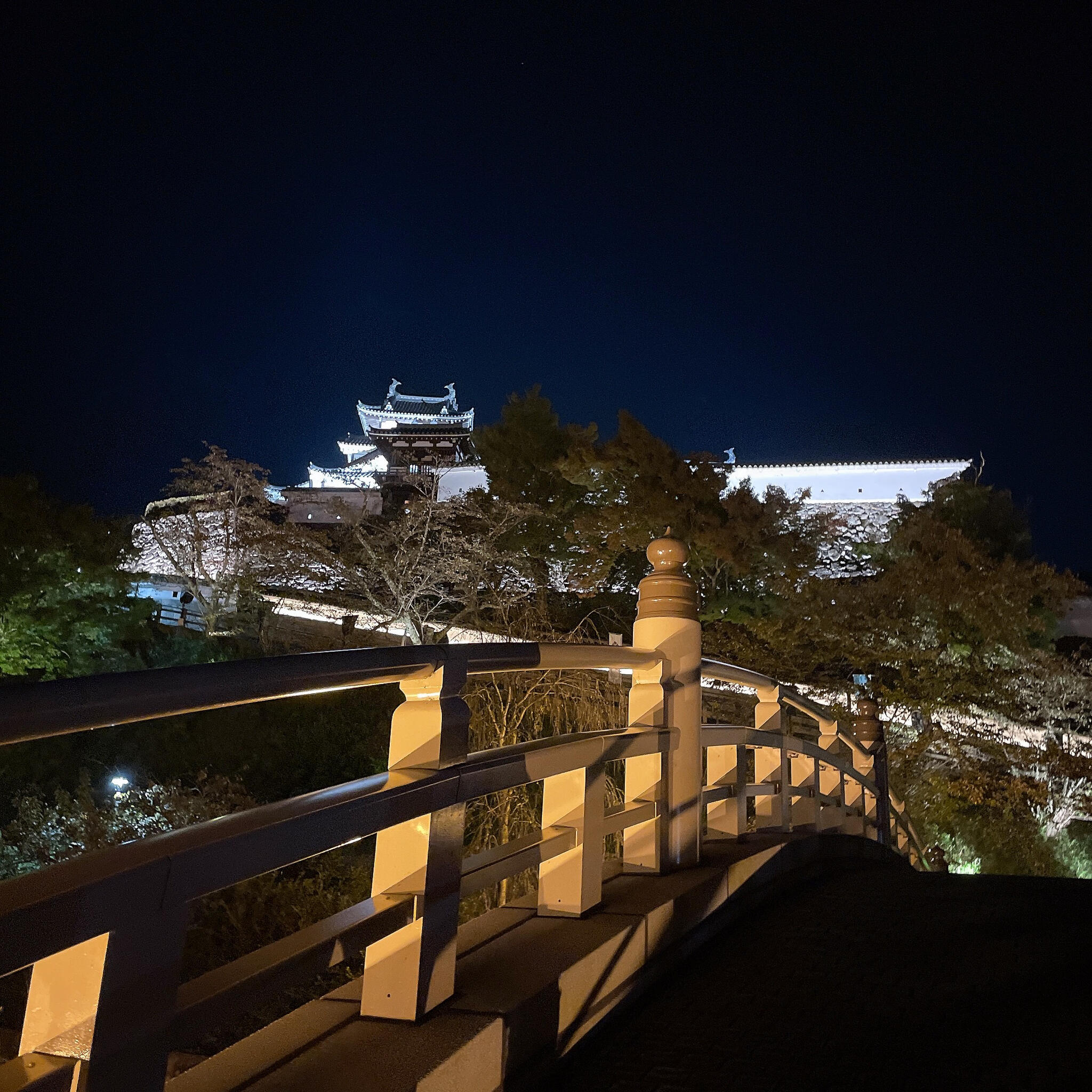 福知山城の代表写真2