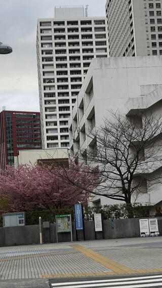 東京工業大学附属科学技術高等学校のクチコミ写真1