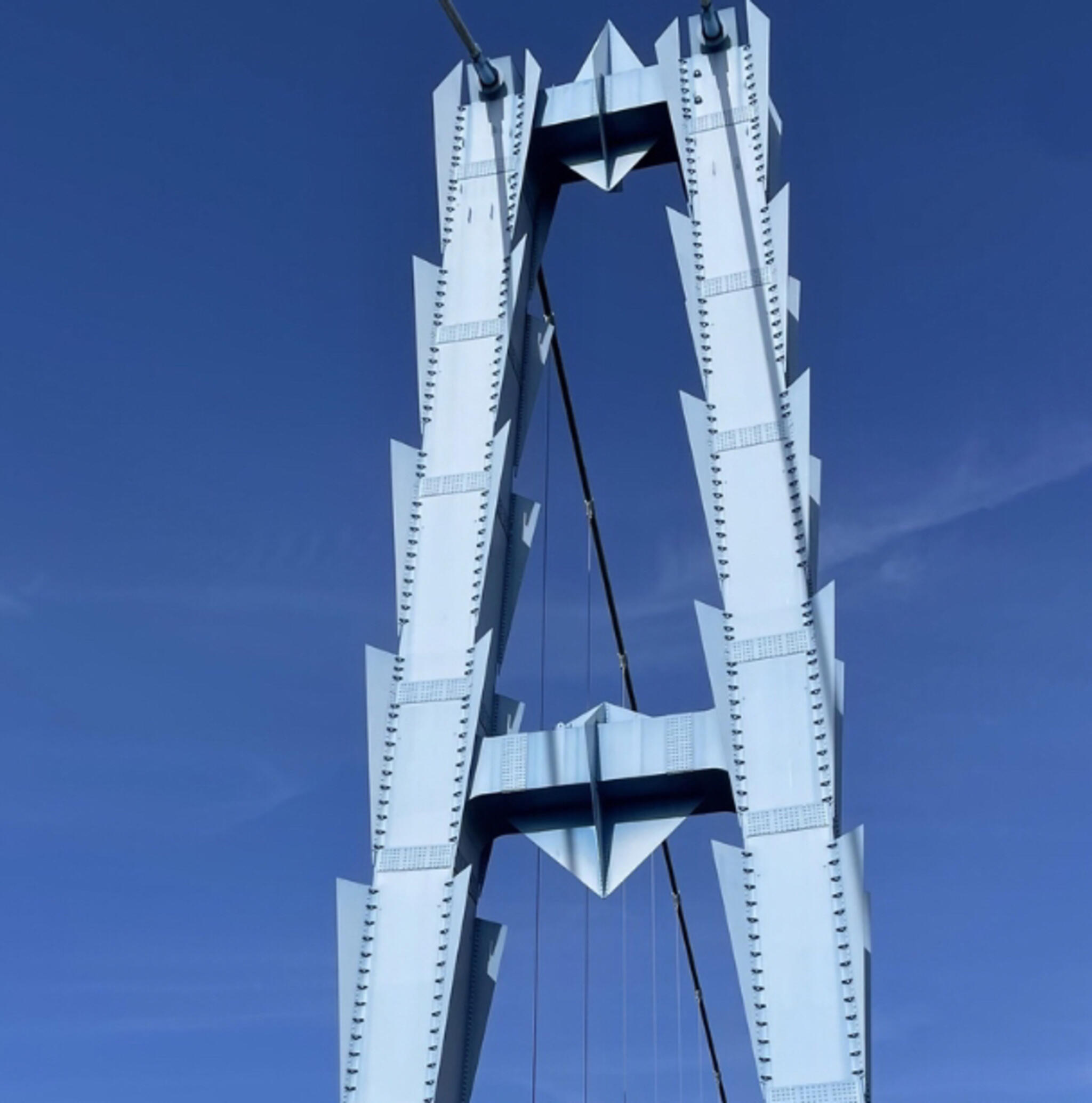 竜神大吊橋の代表写真1