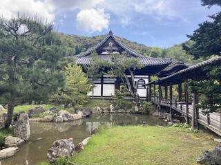 鷲峰山高台寺のクチコミ写真1