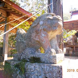 少彦名神社の写真7