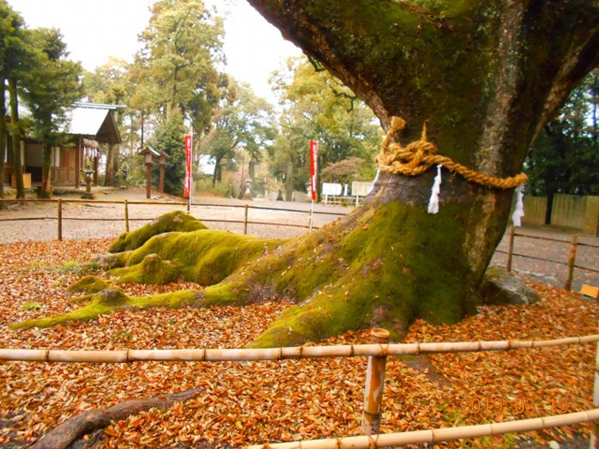 伊曽乃神社の代表写真7