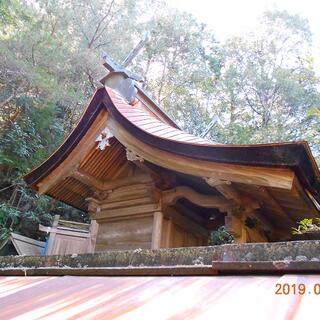 少彦名神社の写真1