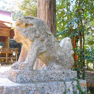 少彦名神社の写真6