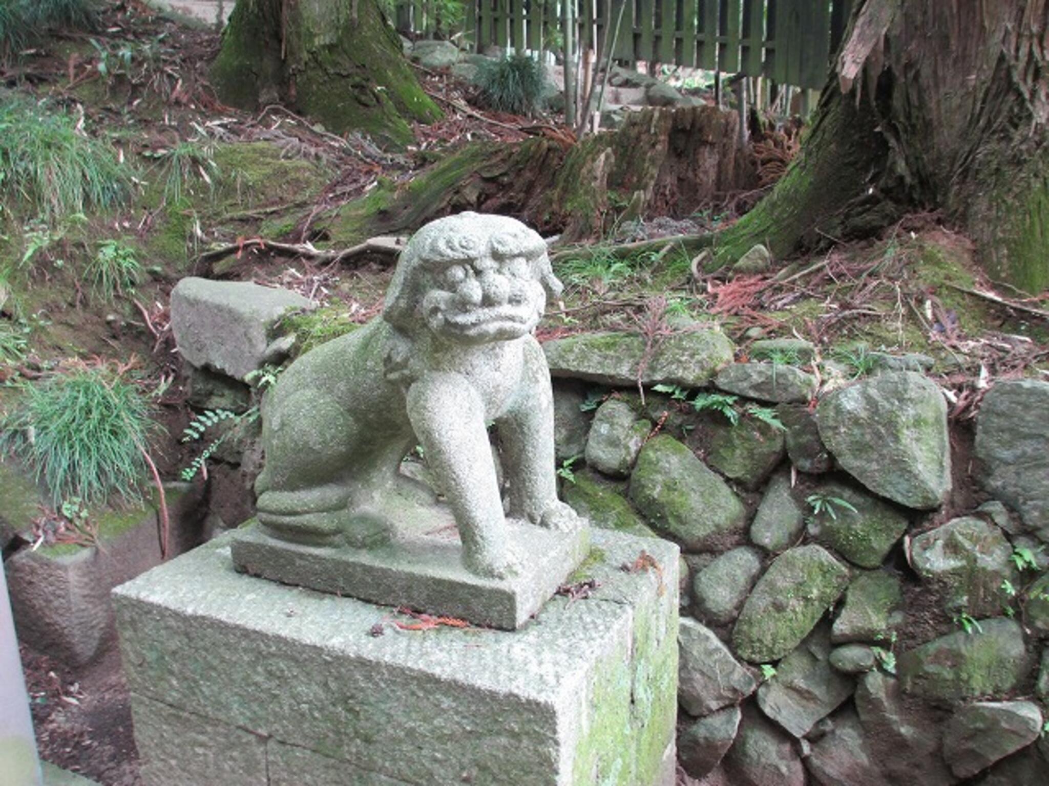 相馬中村神社の代表写真9