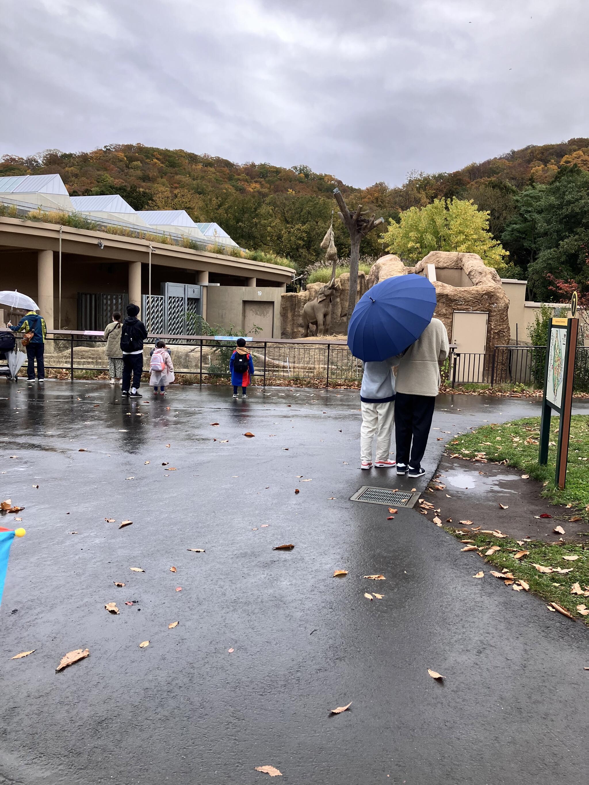 札幌市円山動物園の代表写真1