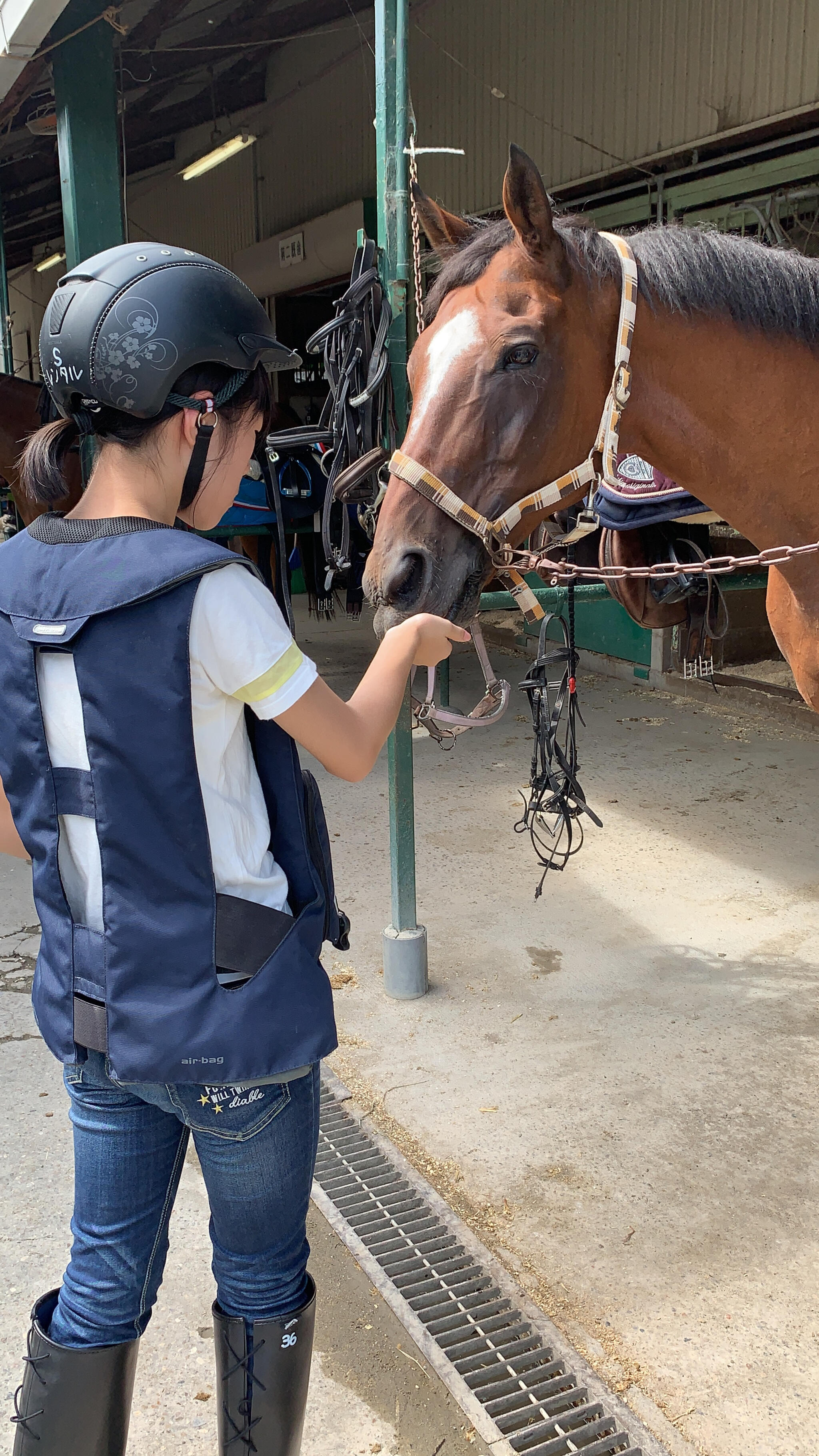 クチコミ : 乗馬クラブ クレイン東海 - 桑名市長島町横満蔵/乗馬教室 | Yahoo!マップ