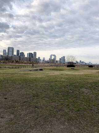 淀川河川公園西中島地区芝生広場のクチコミ写真2