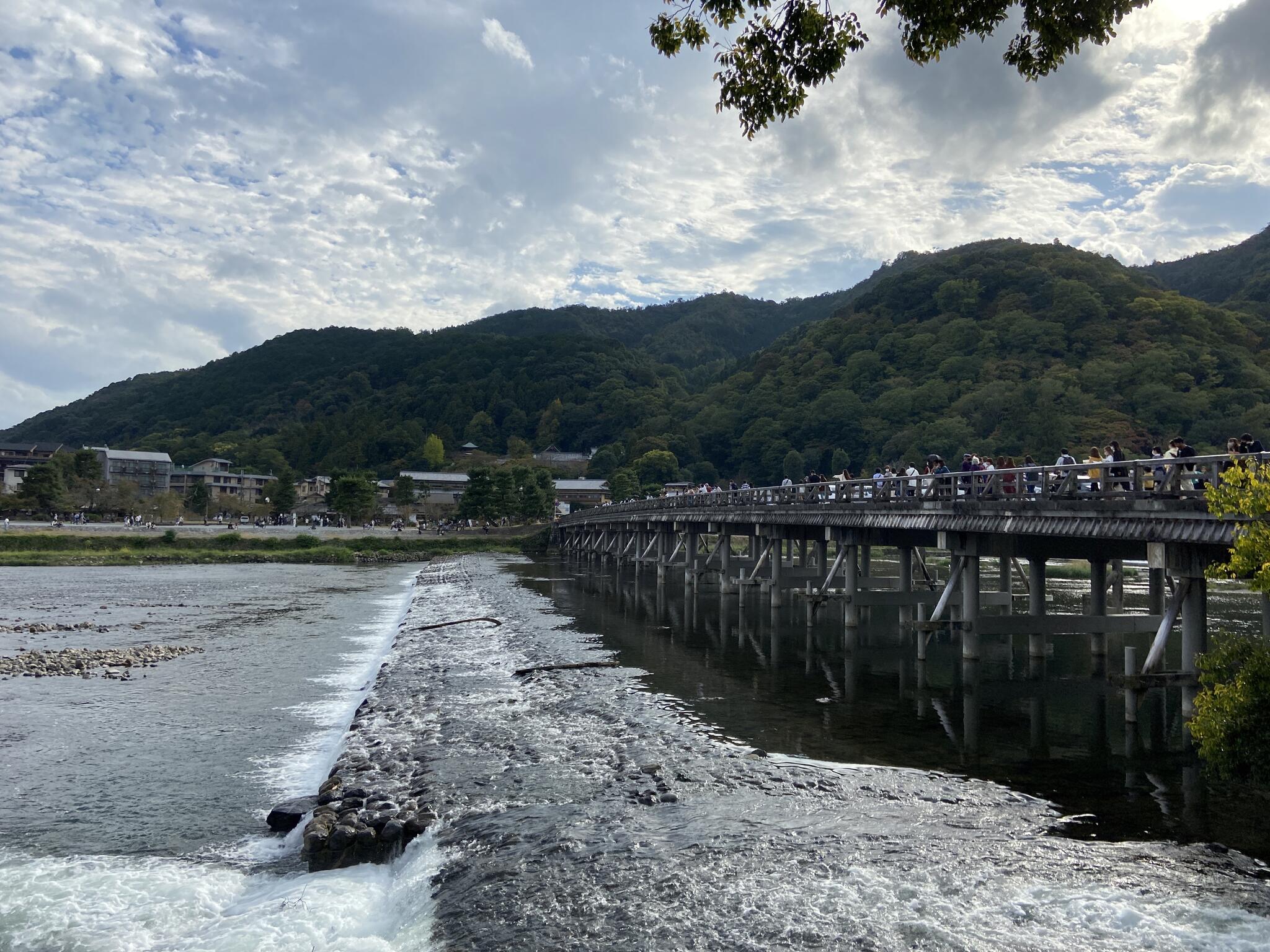 嵐山公園(京都市)の代表写真9