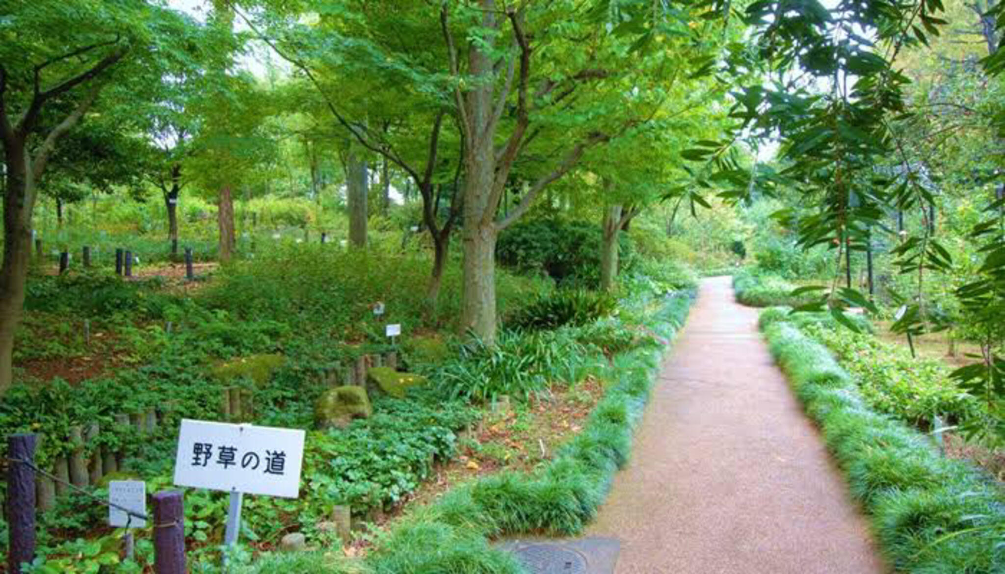 赤塚植物園の代表写真6