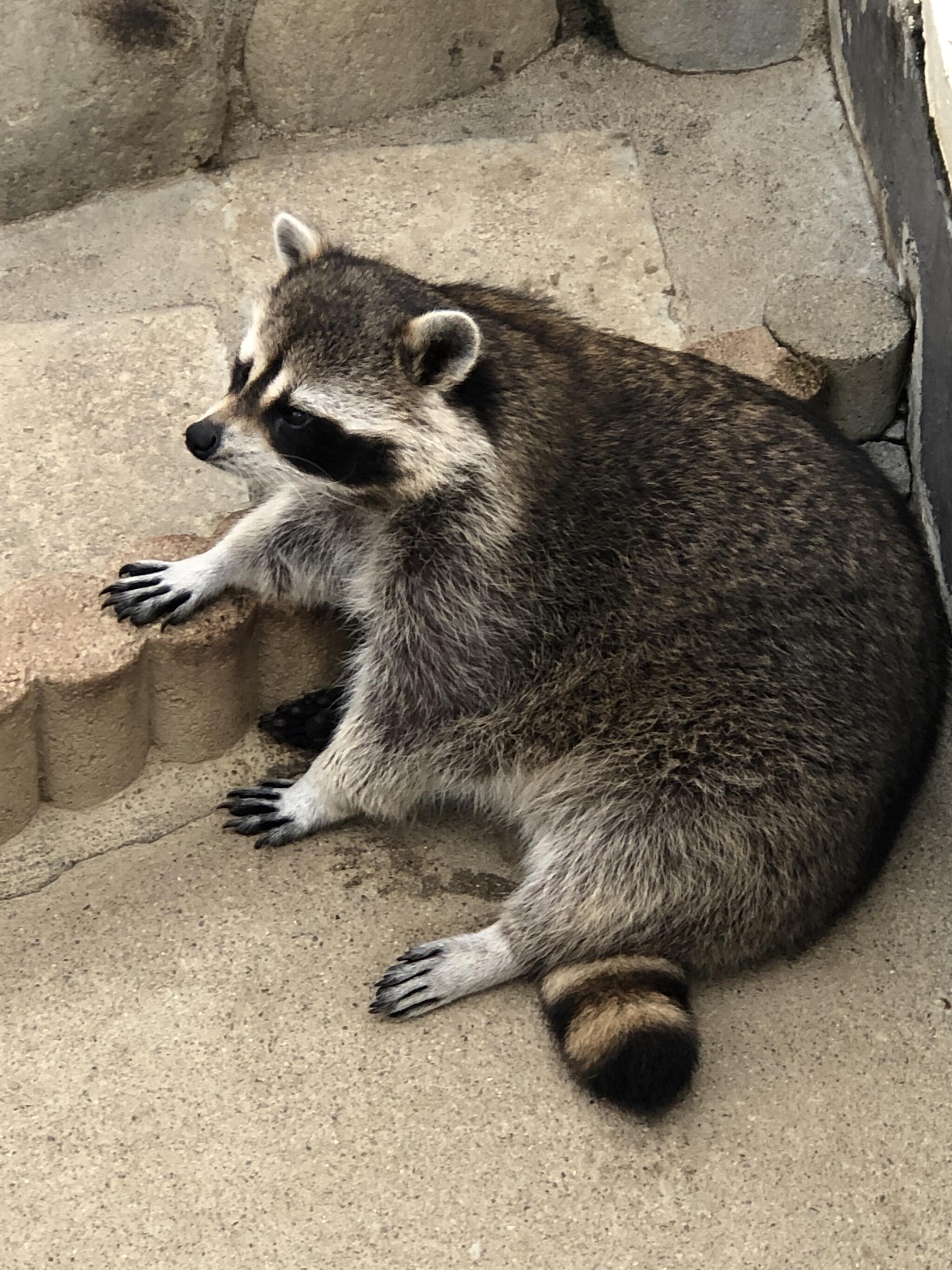 万力公園の代表写真8