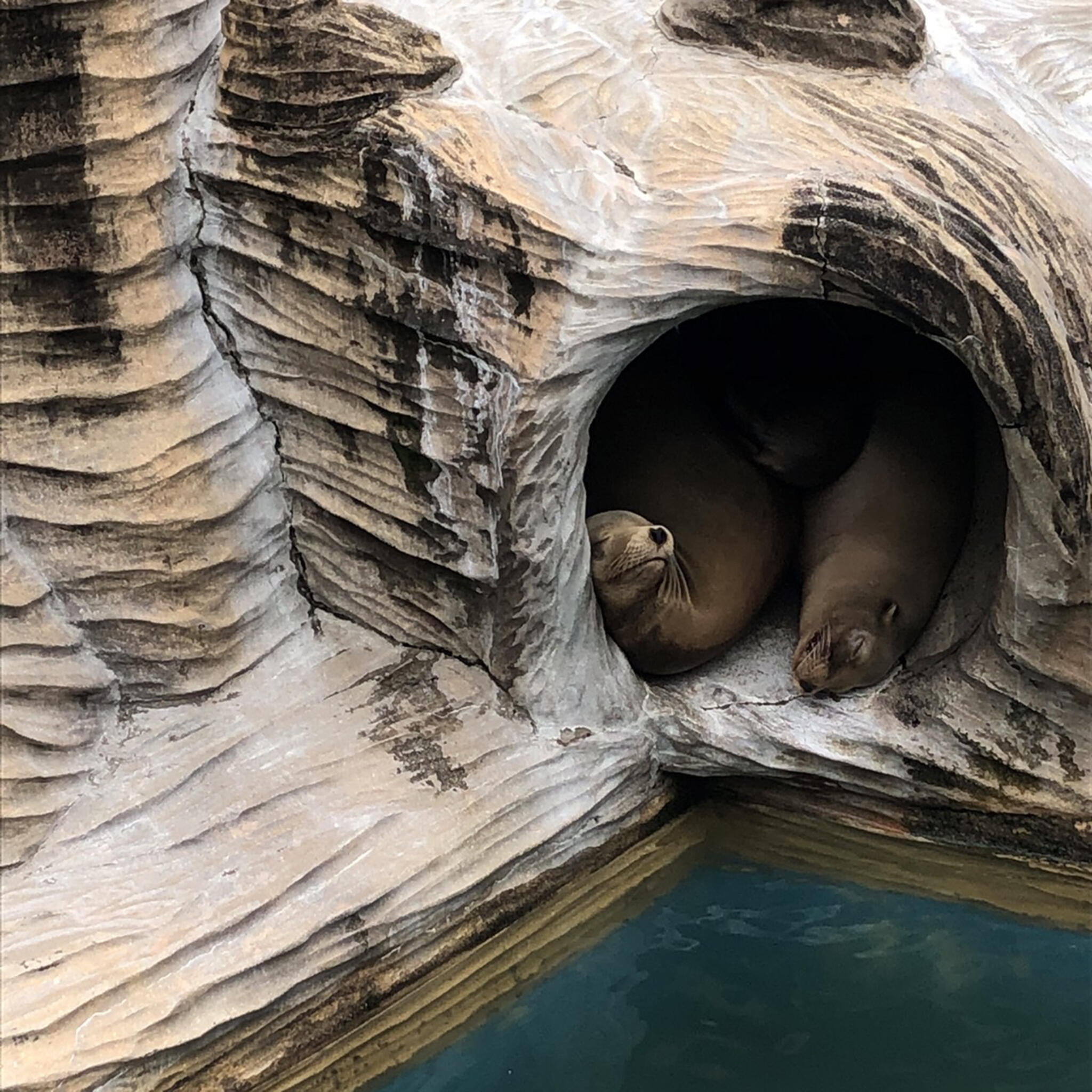 名古屋市東山動植物園の代表写真5