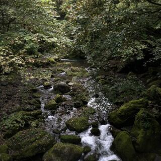 秋川渓谷の写真6