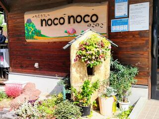 町屋Cafe noconocoのクチコミ写真1