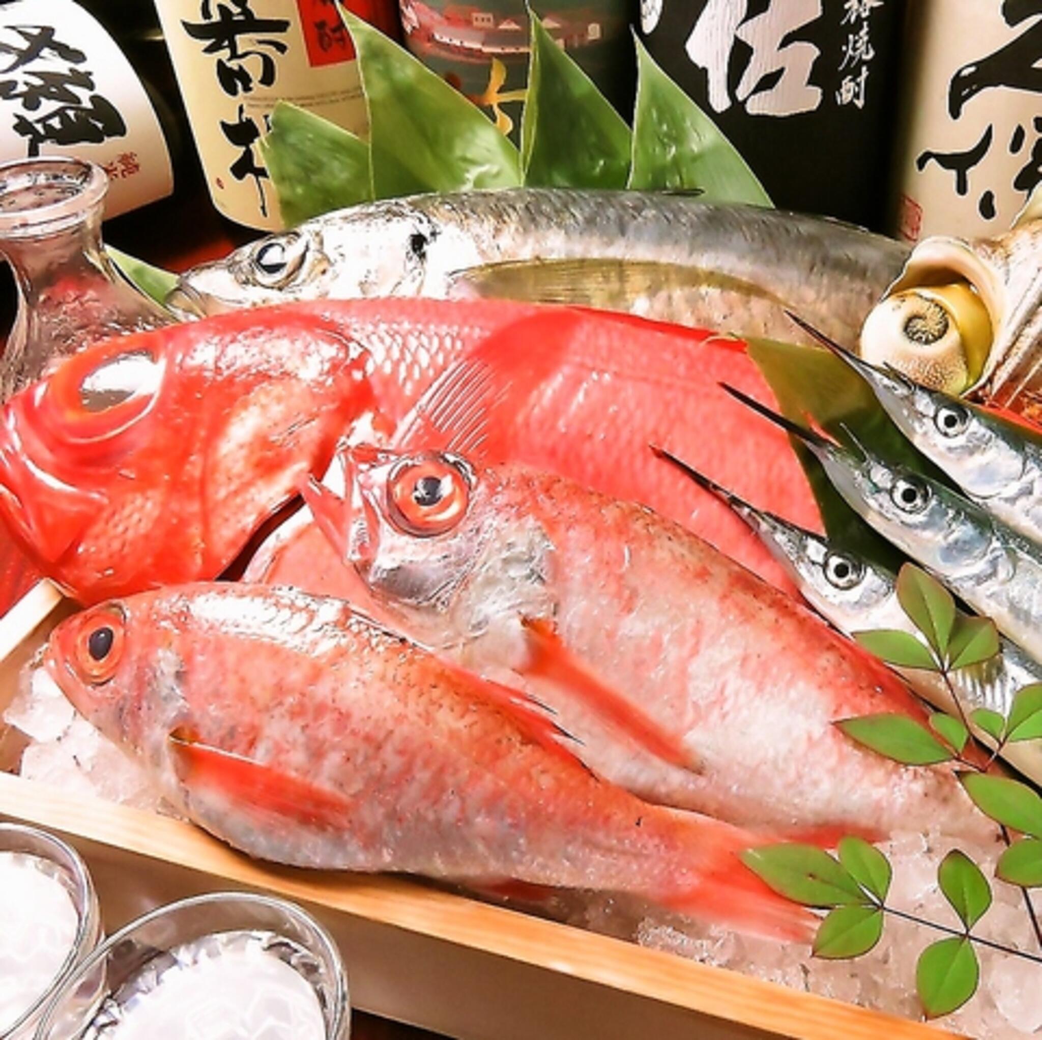 個室居酒屋 魚の旨い よろこんで 倉敷駅前本店の代表写真1