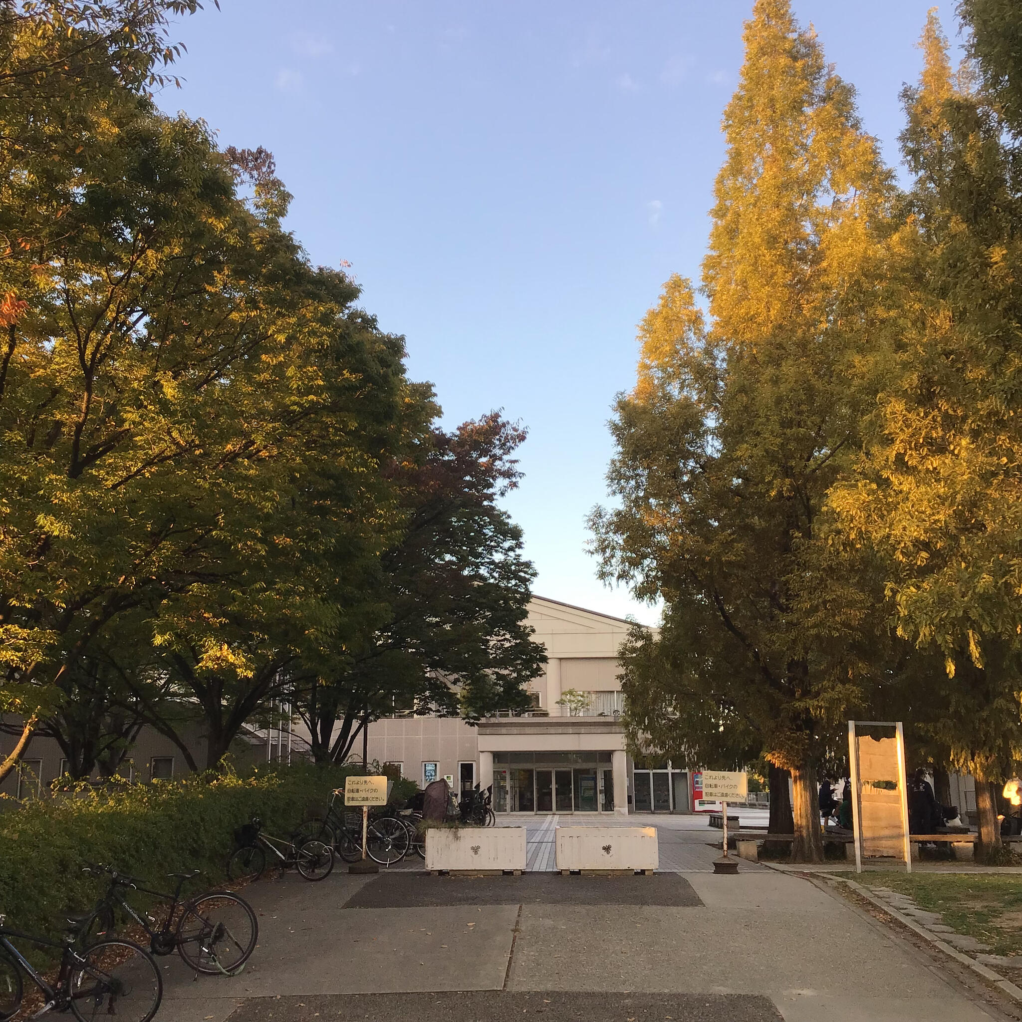 金岡公園体育館の代表写真10