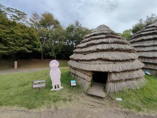 鹿児島県上野原縄文の森のクチコミ写真1