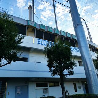 江戸川区球場の写真22