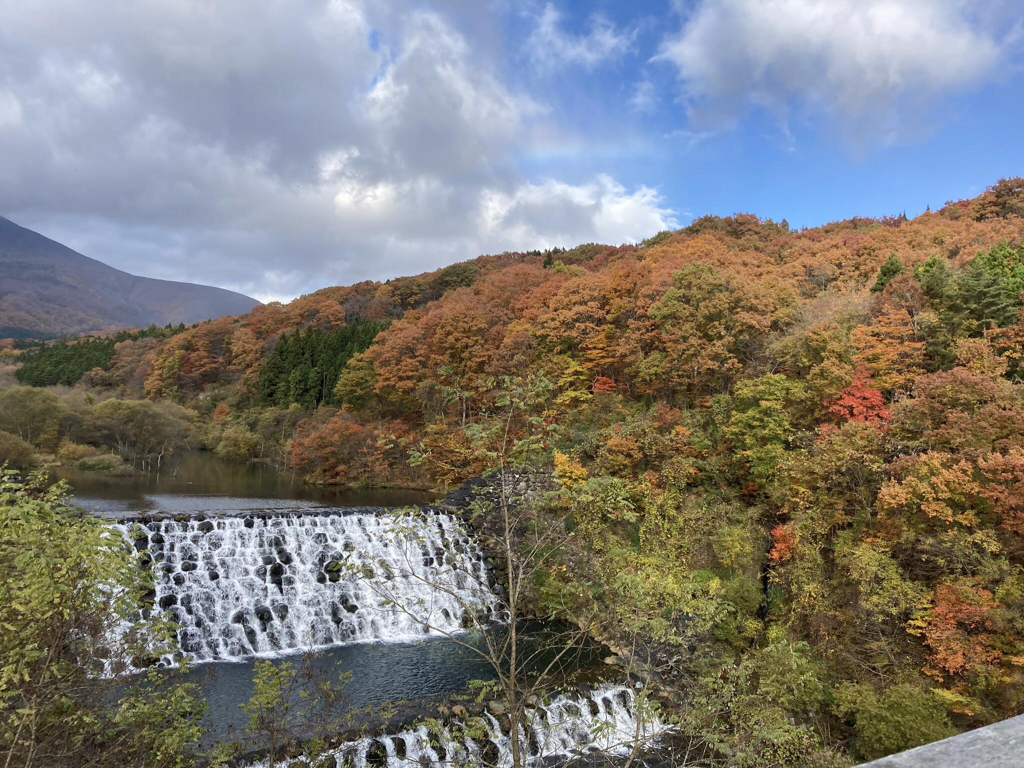 横川渓谷(やまびこ吊り橋)の代表写真8