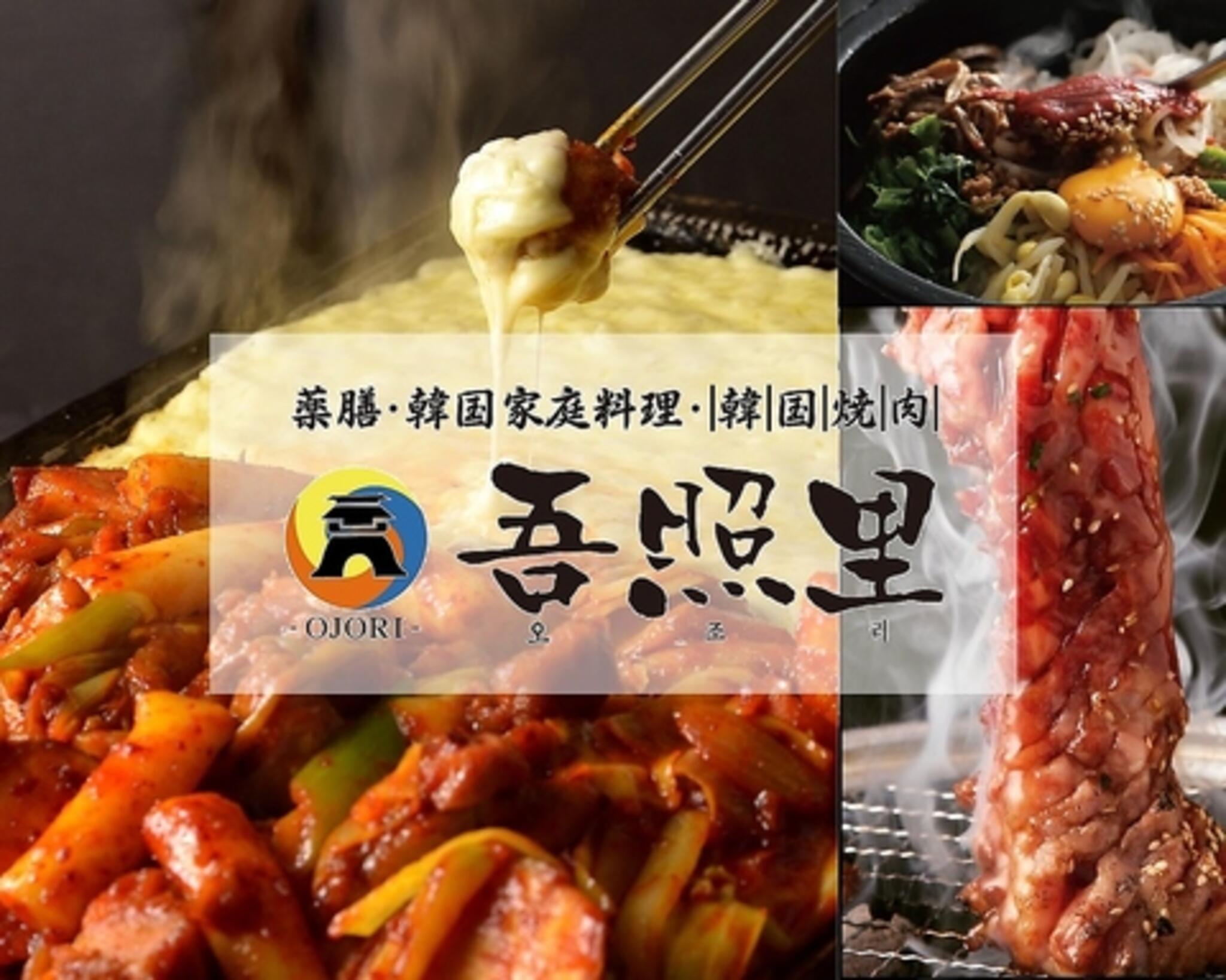 薬膳・韓国家庭料理・韓国焼肉 吾照里 渋谷本館の代表写真8