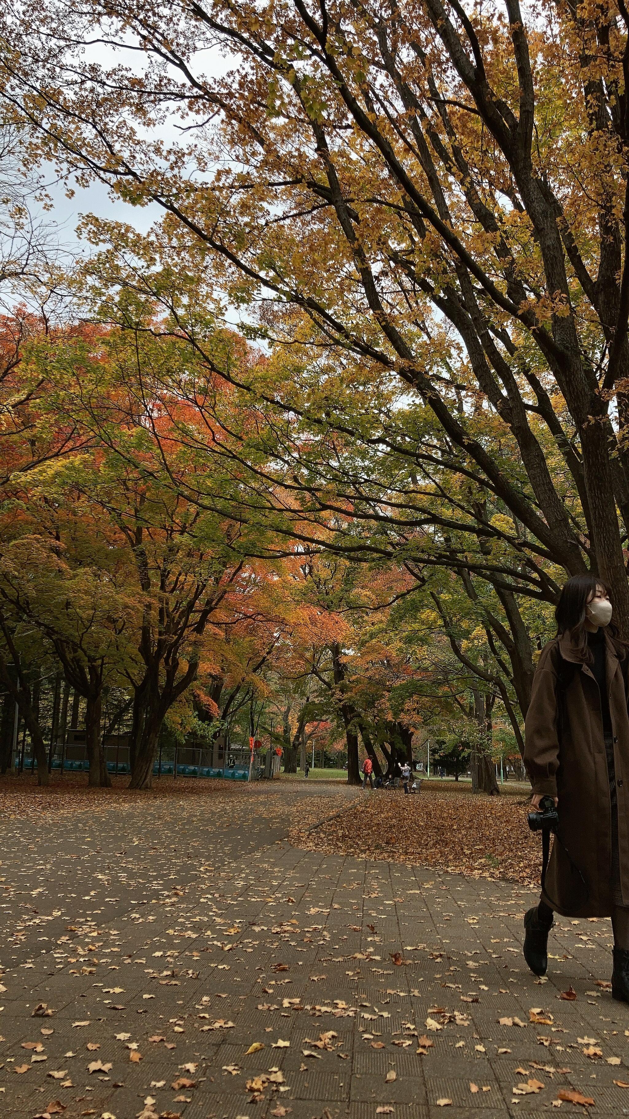 円山公園の代表写真10