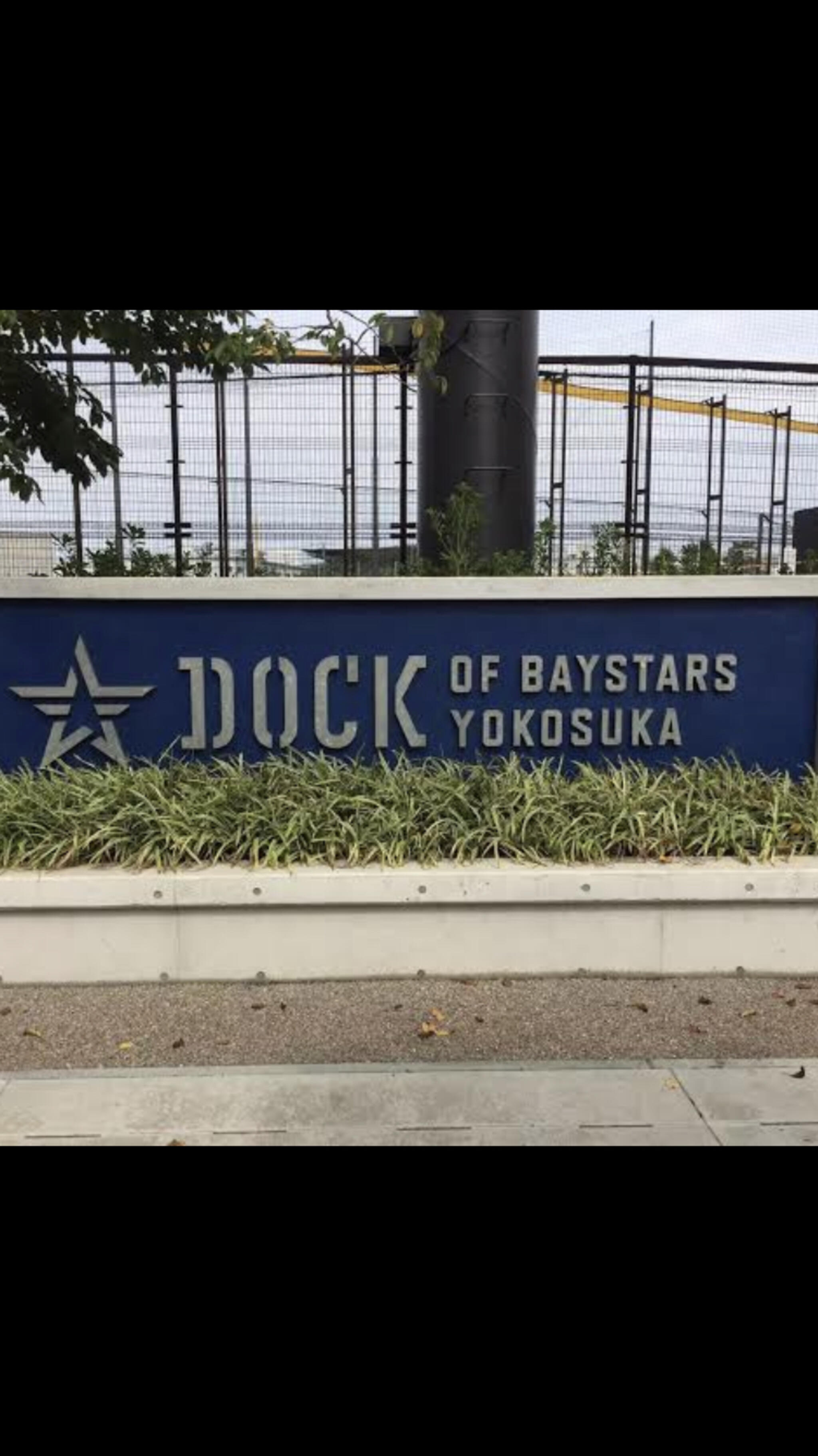 DOCK OF BAYSTARS YOKOSUKAの代表写真7