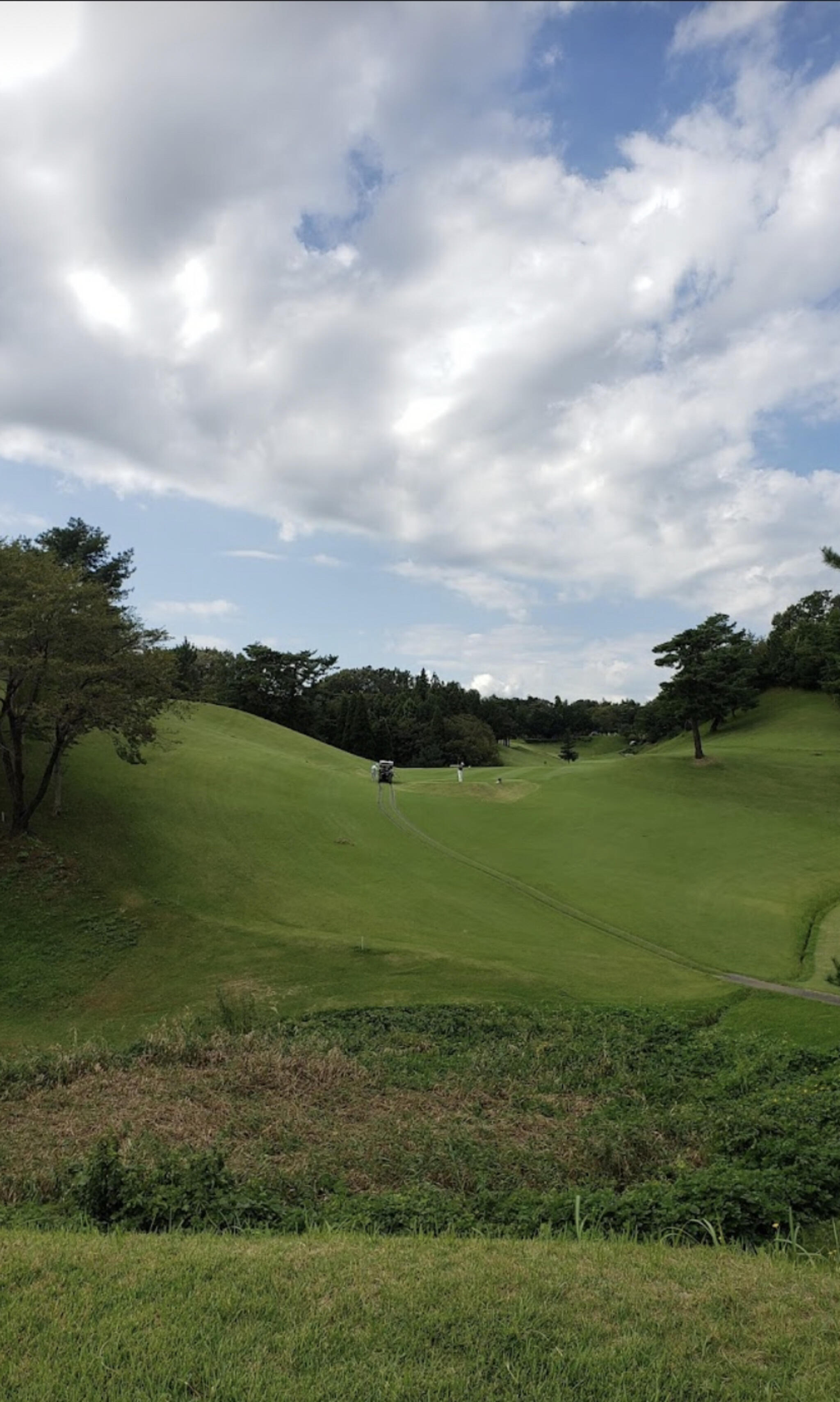 東京国際ゴルフ倶楽部の代表写真1
