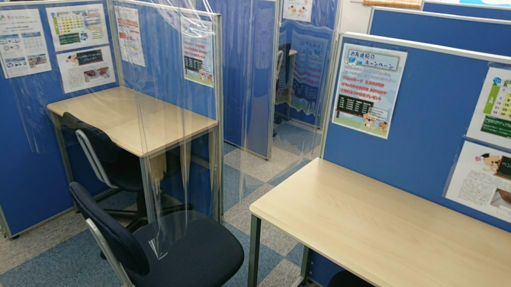 サクラサクセス 鳥取正蓮寺教室の代表写真8