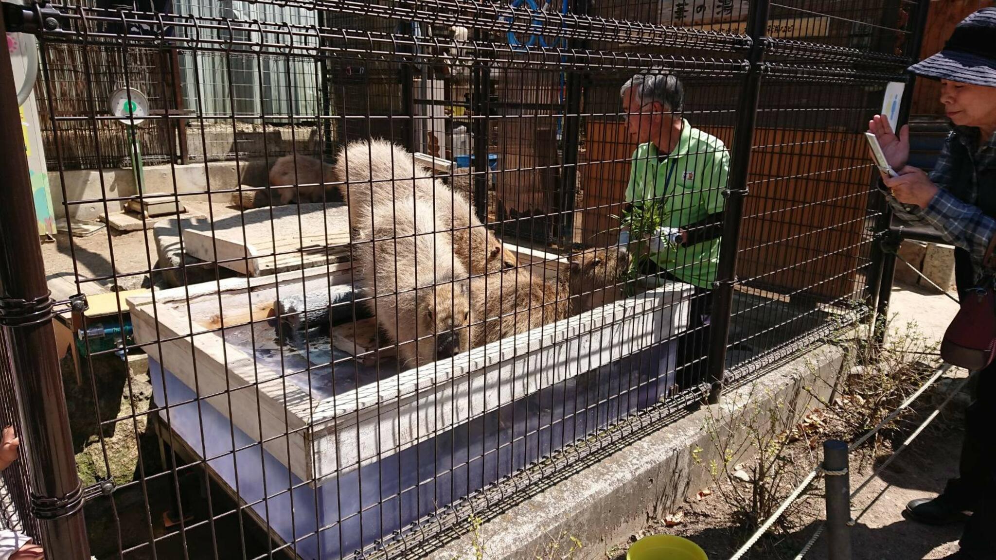 須坂市動物園の代表写真3