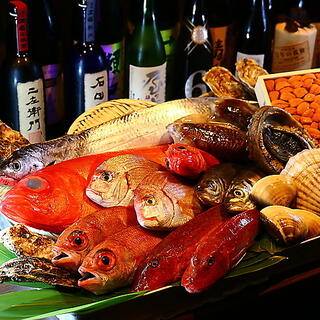 新鮮な魚介類と地酒専門店 おやじの隠れ家 魚武の写真2