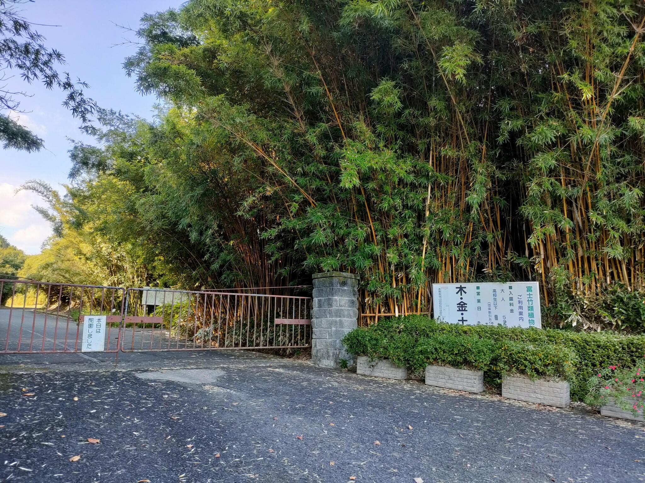 富士竹類植物園の代表写真3