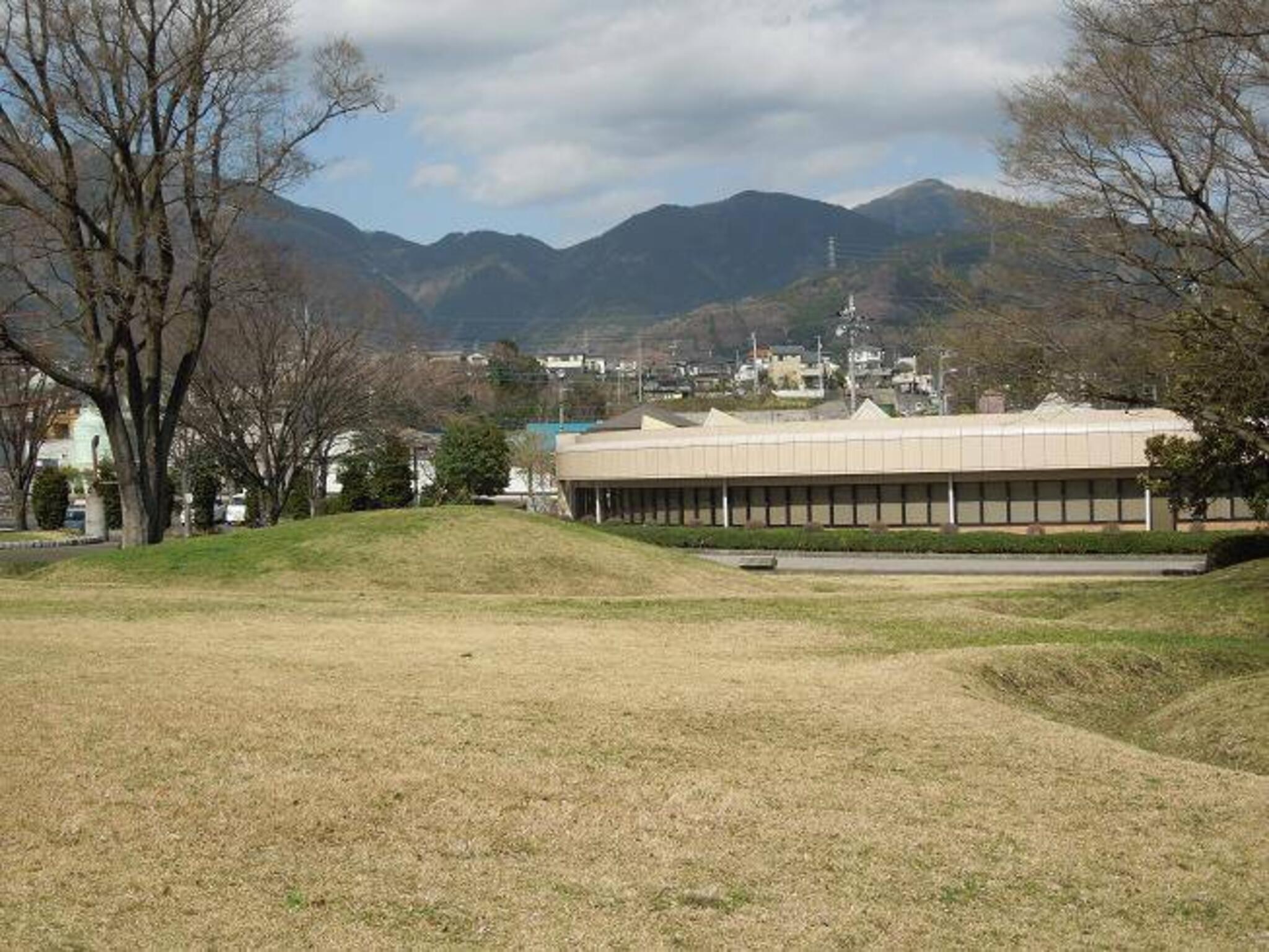 秦野市立はだの歴史博物館の代表写真8