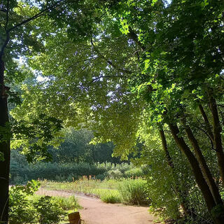 北海道大学植物園の写真4