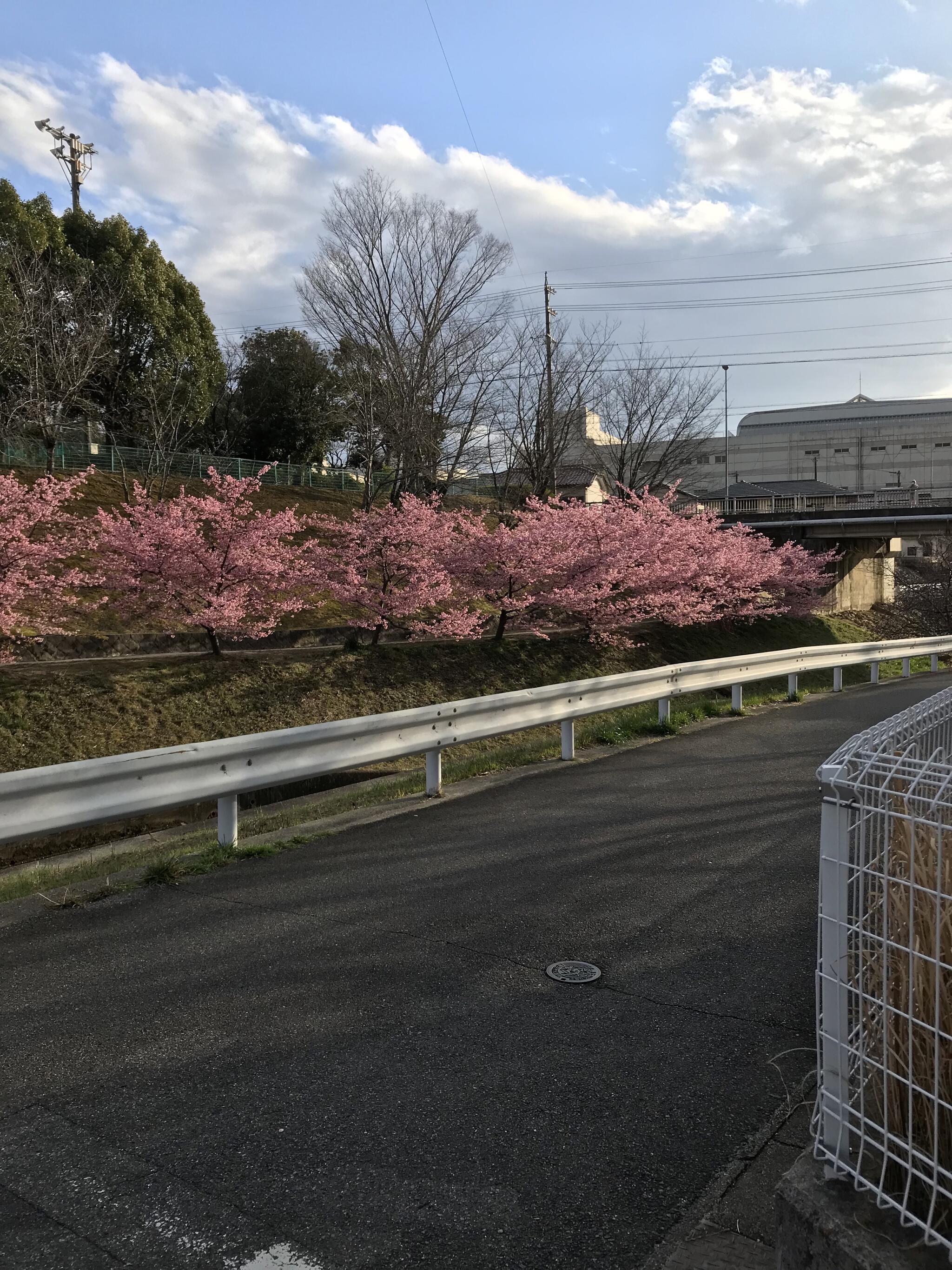 加茂川公園 - 豊田市東山町/公園 | Yahoo!マップ