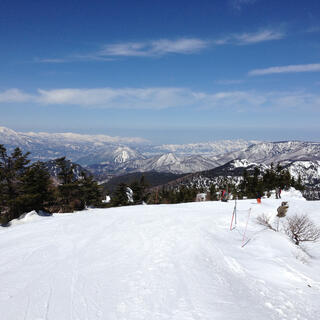 横手山・渋峠スキー場の写真8