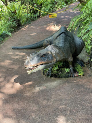 DINO恐竜PARK やんばる亜熱帯の森のクチコミ写真2